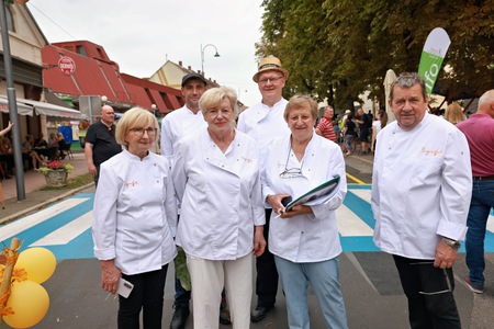 Strokovna komisija